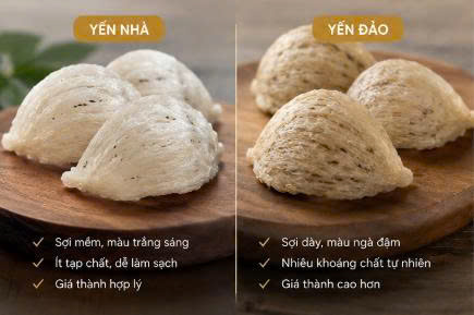 yến đảo 2.jpg