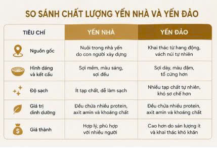 yến đảo 4.jpg